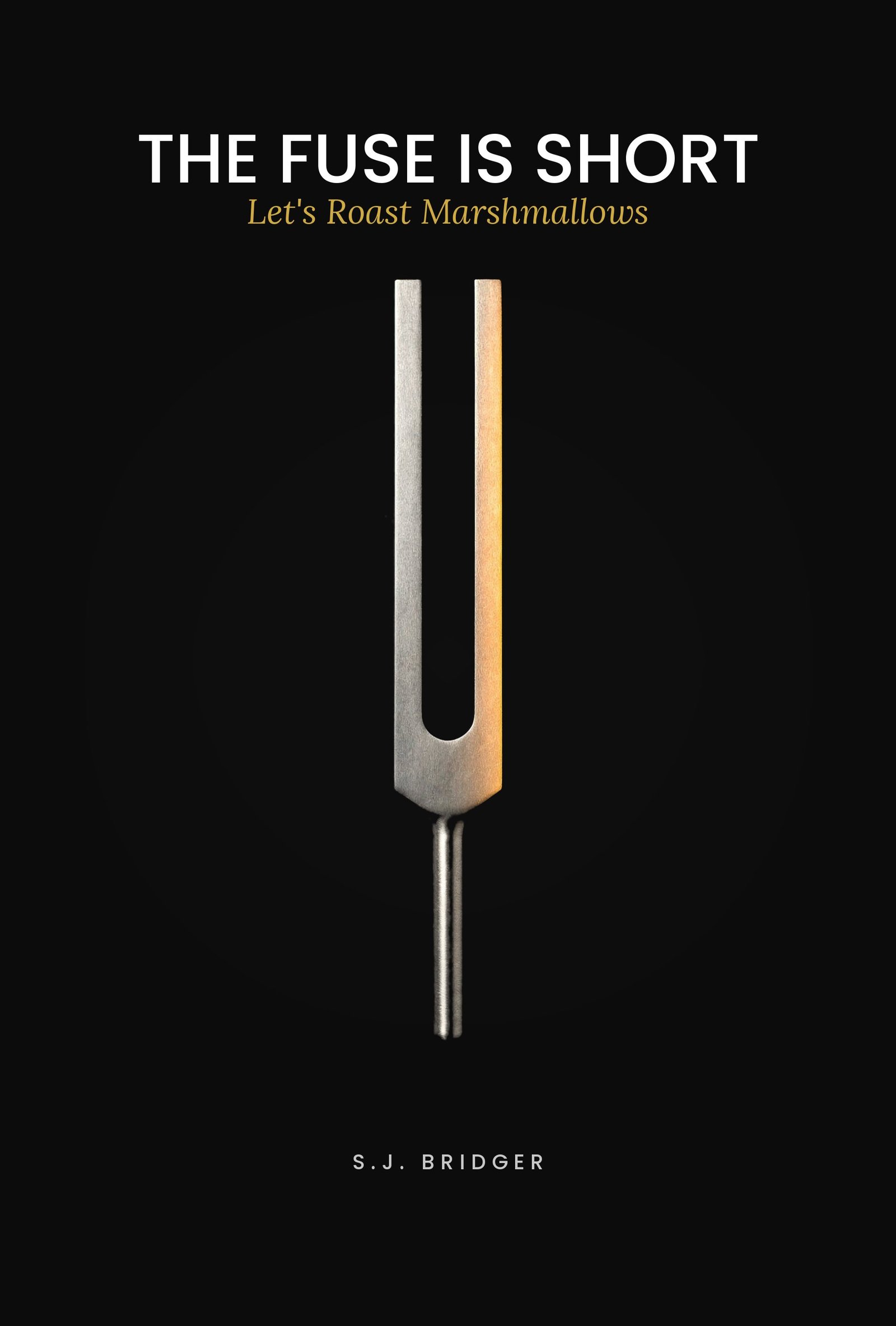 The Fuse is Short: Let's Roast Marshmallows by S.J. Bridger, book cover